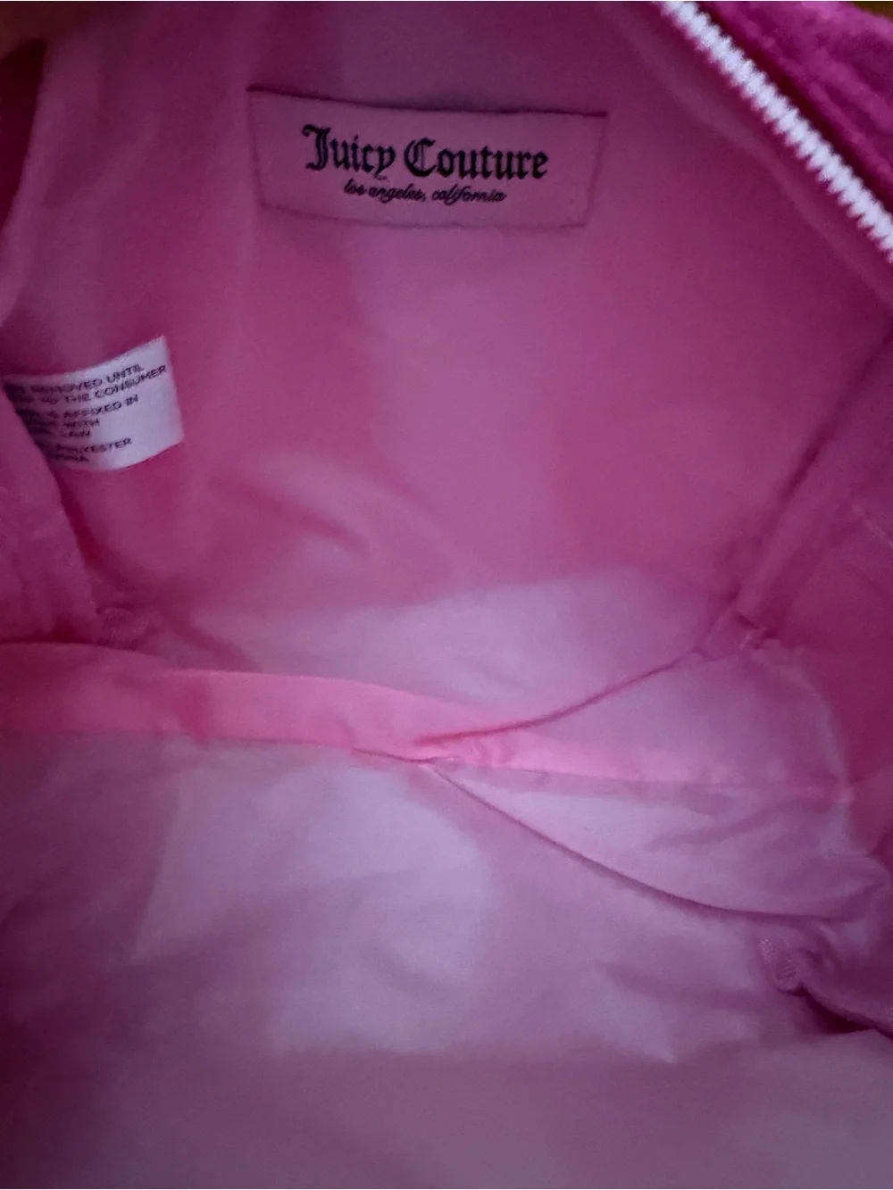Juicy Couture “Loseth Not Thy Cool” Pink Velour Travel Cosmetic Bag Set NEW